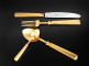 Набор столовых приборов 24/6, PICCADILLY matte gold, подарочная упаковка, Cutipol item