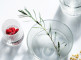 Стакан Blossom, LA ROCHERE item
