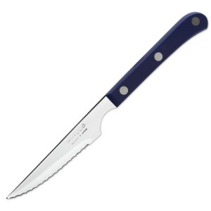 Нож для стейка 11.5 см, рукоять синяя, Mesa, Arcos item