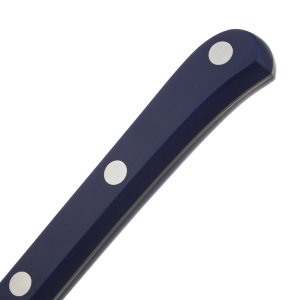 Нож для стейка 11.5 см, рукоять синяя, Mesa, Arcos item