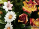 f_2312_chasha_barokko_ovalnaja_s_rozami.jpg item