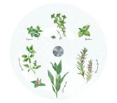 Блюдо стеклянное (вращающееся) Herbarium в подарочной упаковке Блюдо стеклянное (вращающееся) Herbarium в подарочной упаковке