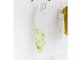 4_111143-402807-110x30-SIR-Leaf-Clover-Mood-01.jpg item