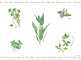 Салфетка под горячее Herbarium без инд.упаковки item
