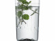 Набор бокалов для коктейля, 2 шт, серия Glamorous, Zwiesel GLAS item