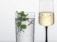 Набор бокалов для коктейля, 2 шт, серия Glamorous, Zwiesel GLAS item