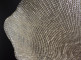 Блюдо сервировочное Folies, 37 см, золотистый, IVV item