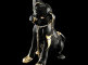 SR0801C-NOLY.jpg item