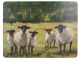 Creative Tops Набор из 6 подставок Sheep 30х23 item