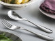 Набор столовых приборов 24/6, Bourton Bright, Robert Welch item