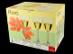 flora-korobka46.jpeg item