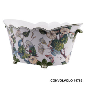 convolvolo-14769.jpg item