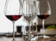 Набор бокалов для белого вина RIESLING, объем 296 мл, 6 шт., серия Wineshine item