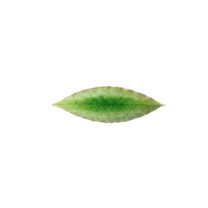 Блюдо RIVIERA, COSTA NOVA item