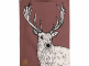 Creative Tops Полотенце Deer item