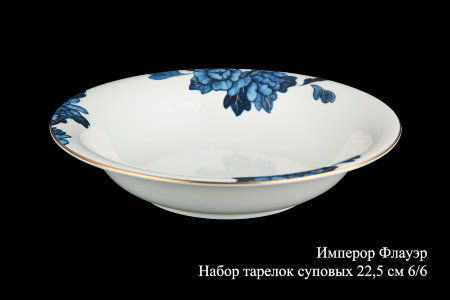 imperor_flauer_nabor_tarelok_supovykh_22,5_sm_6-6.jpg item