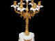 5003b-tiche.jpg item