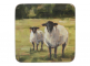 Creative Tops Набор из 6 подставок Sheep 10x10 item