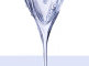 104663_disko_beloe_vino_straz.jpg item