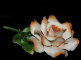 Декоративная роза, Artigiano Capodimonte item