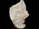 0197-el.jpg item
