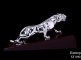 st_0903_pantera.jpg item