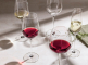 Набор из 4-х бокалов для красного вина Burgundy, 730 мл, Schott Zwiesel item