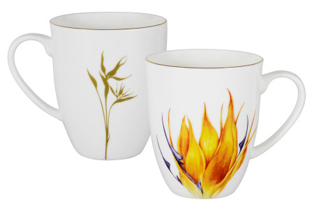 Кружка Strelitzia в подарочной упаковке item