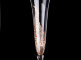 klimt_shampanskoe_84086.jpg item