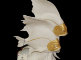 1040b-pp.jpg item